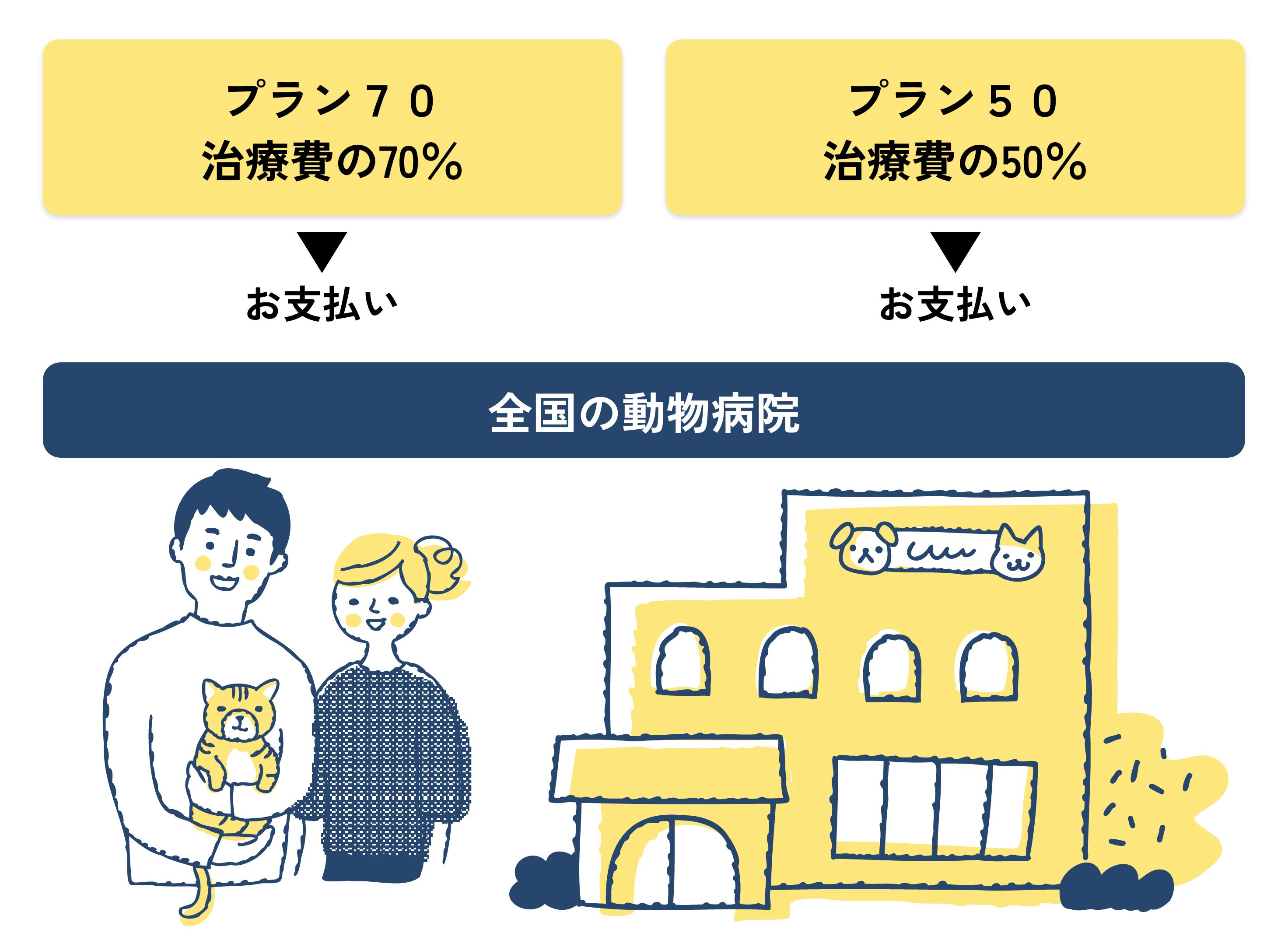 6 .加入プランはプラン50、70の2種類