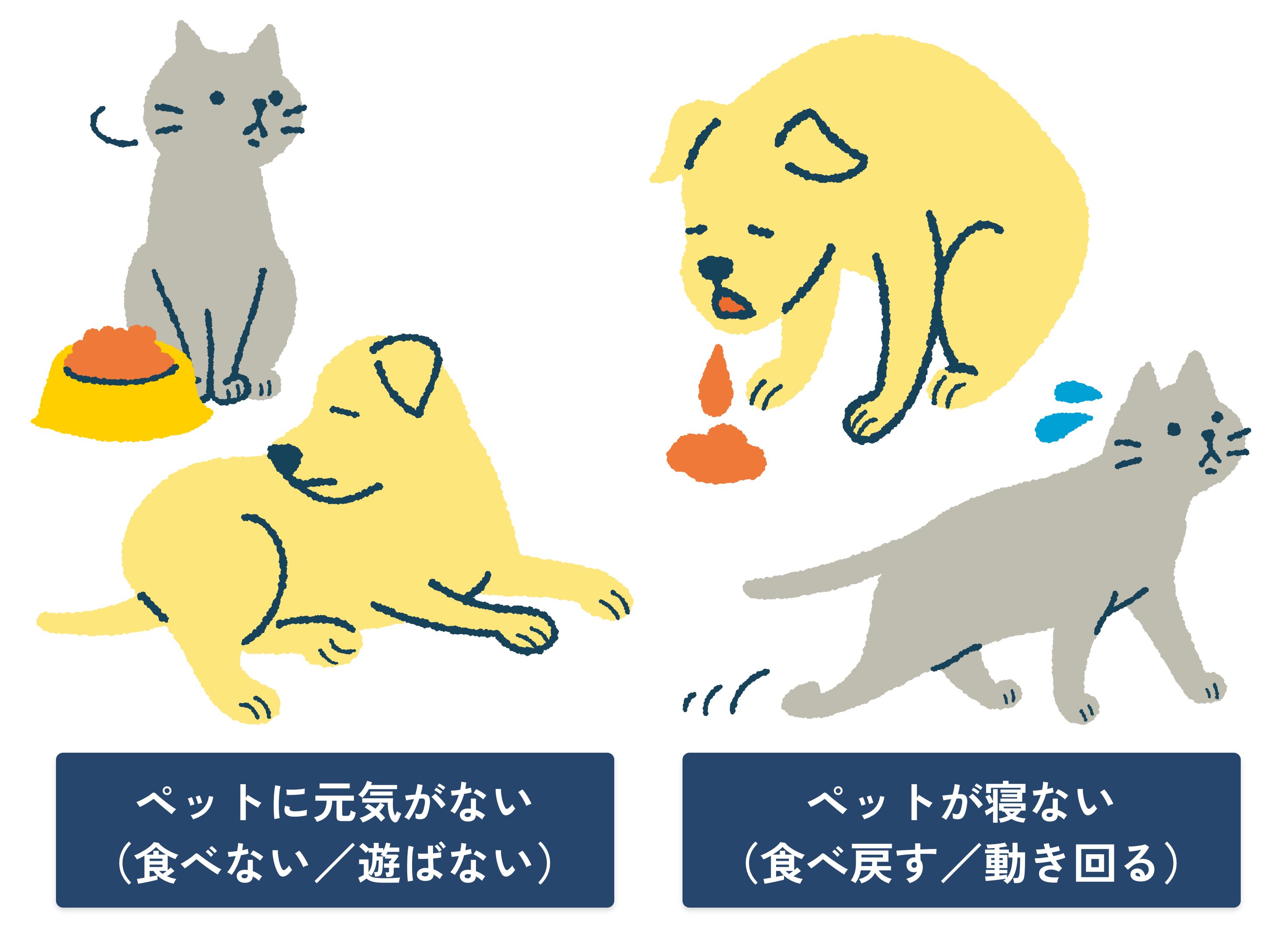 24時間ペット健康保険相談サービス