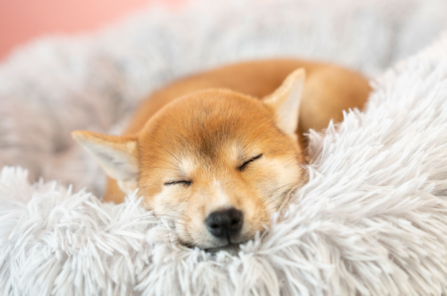 てんかんってなに？