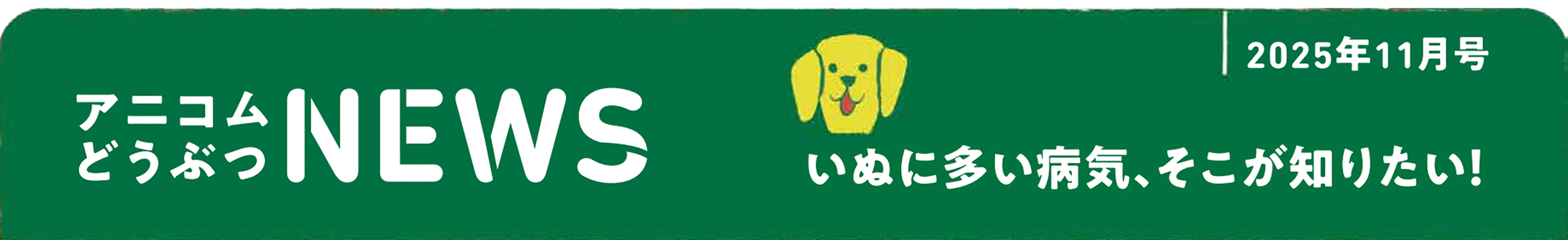 ペットの保険のコラム てんかんってなに？